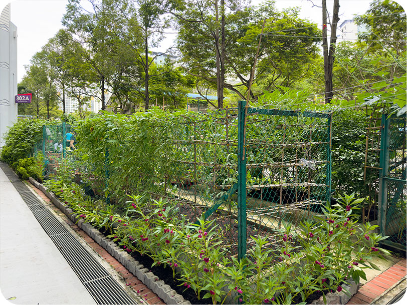 Section 2 Row 2 Image
