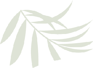 Butterfly Content Image 1-3